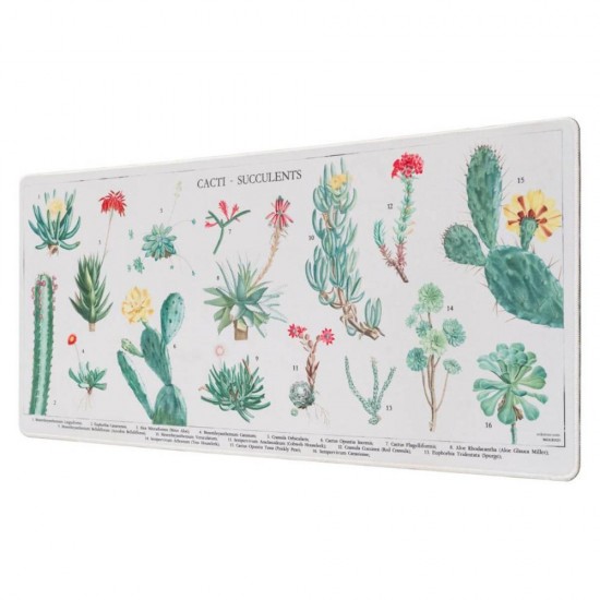 Grupo Erik Botanical Cacti Gaming Mouse Pad (ERIK62181) Grupo Erik Botanical Cacti Gaming Mouse Pad (ERIK62181)