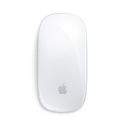 Apple Magic Mouse (2024) Usb-C Silver (MXK53ZM/A) (APPMXK53ZM-A)