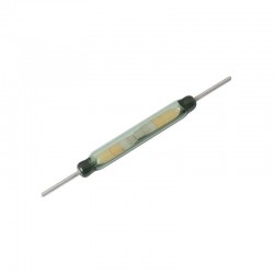 Μαγνητικός Διακόπτης