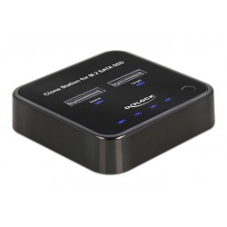 DELOCK docking station 64178, clone function, 2x M.2 SSD, 6Gbps, μαύρο DELOCK docking station 64178, clone function, 2x M.2 SSD, 6Gbps, μαύρο