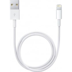 Apple USB to Lightning Cable Λευκό 0.5m (ME291)(Retail box)