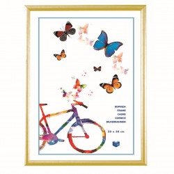 OEM Πλαστική Κορνίζα 20x30cm Χρυσή OEM Πλαστική Κορνίζα 20x30cm Χρυσή